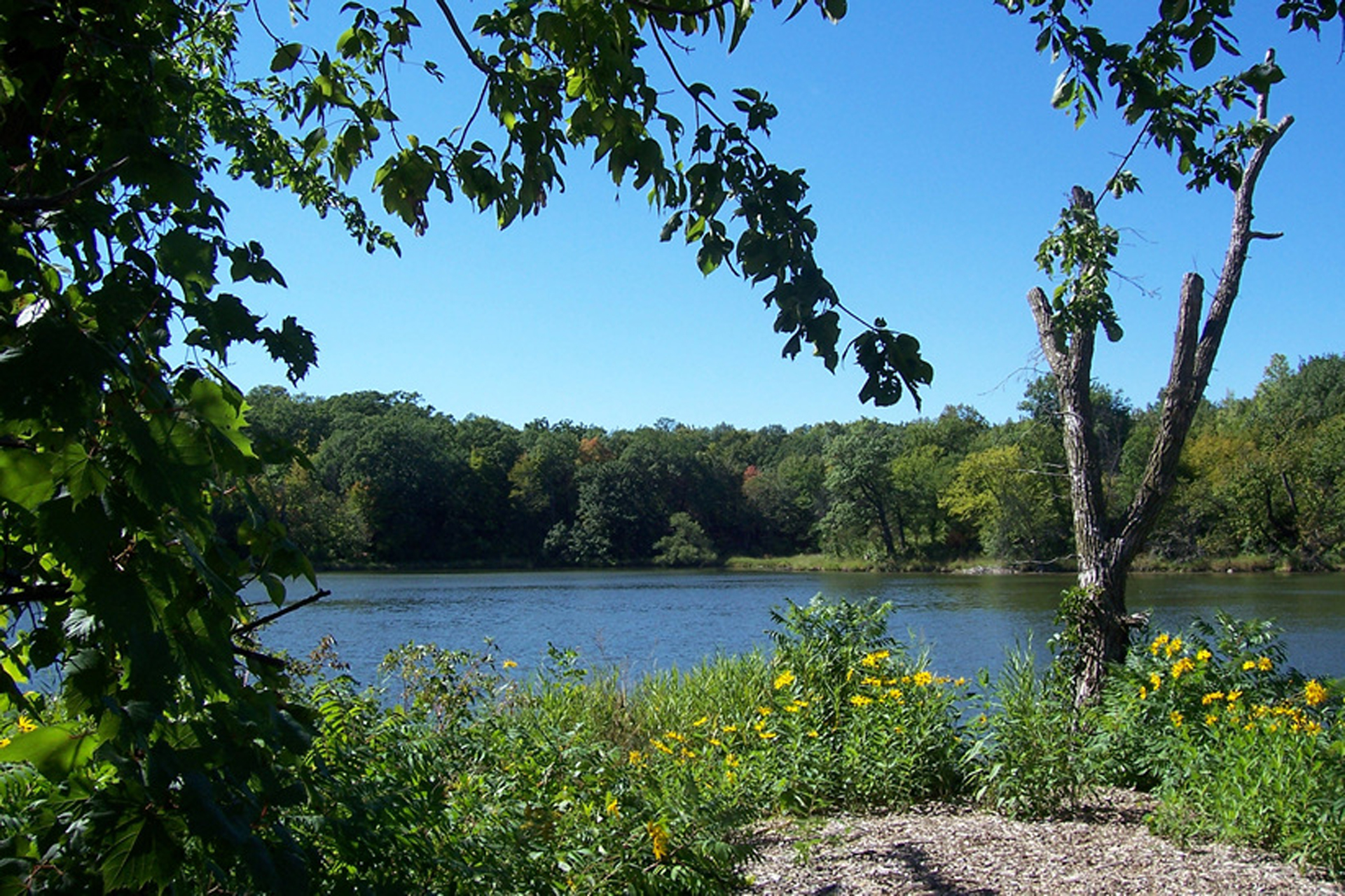 Jeffers Pond