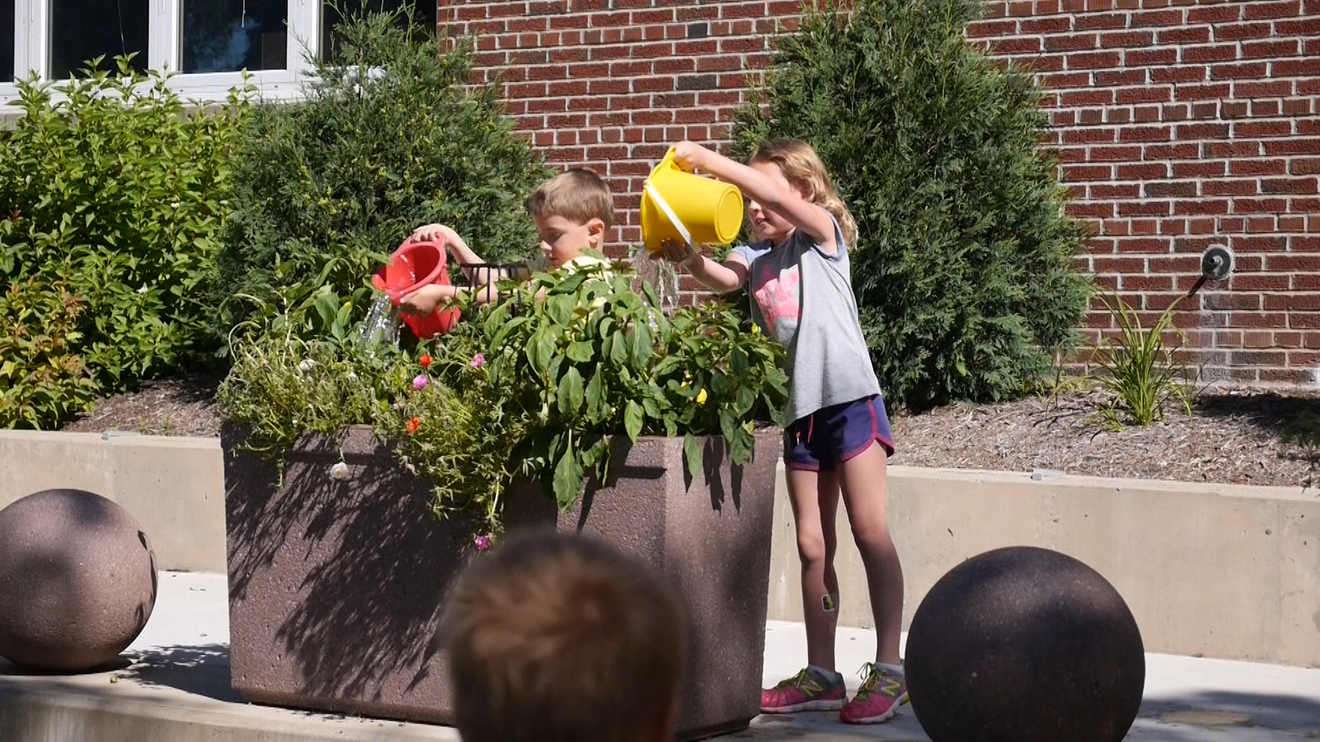 kids watering planter Lake Harriet