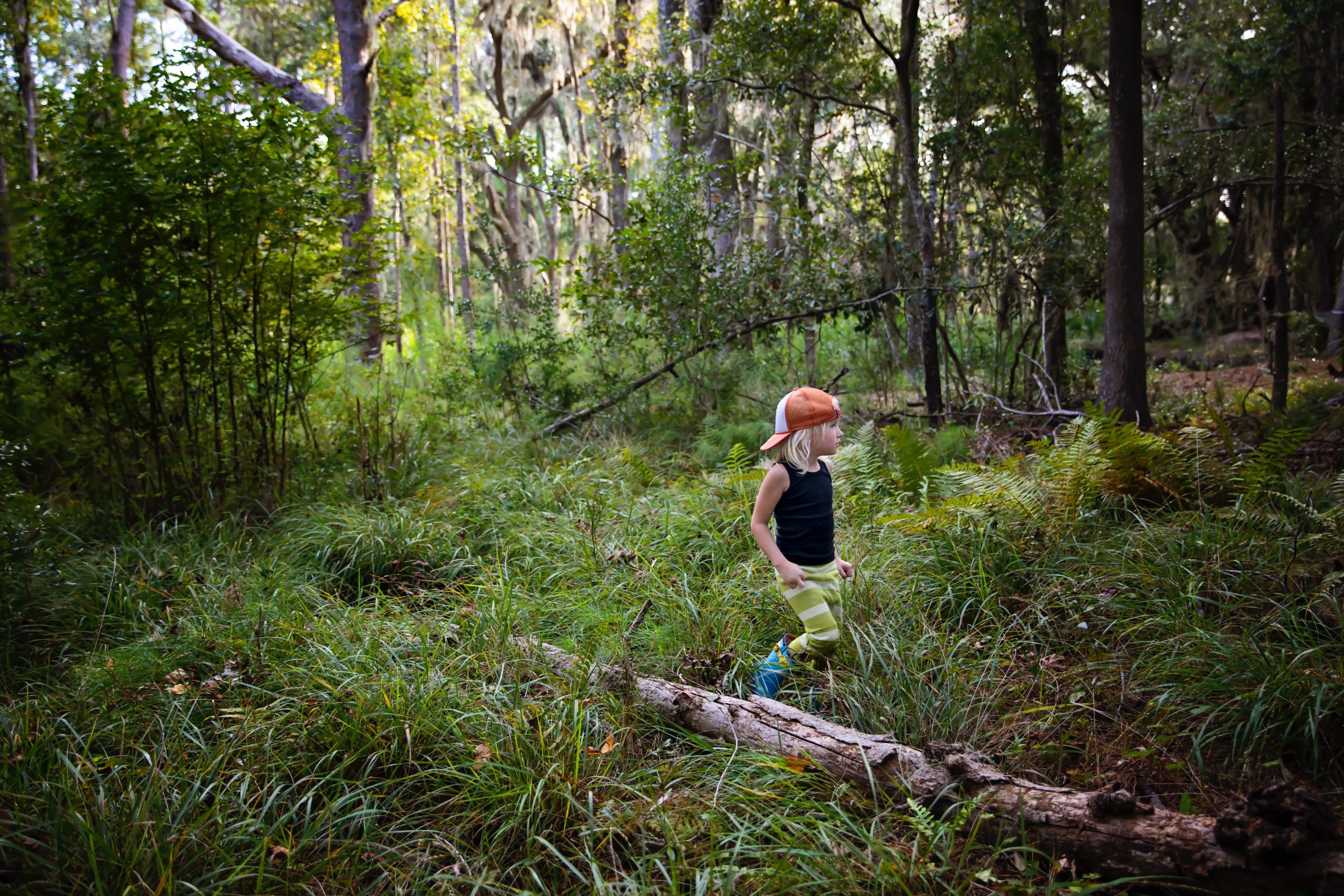 kids playing at a tree