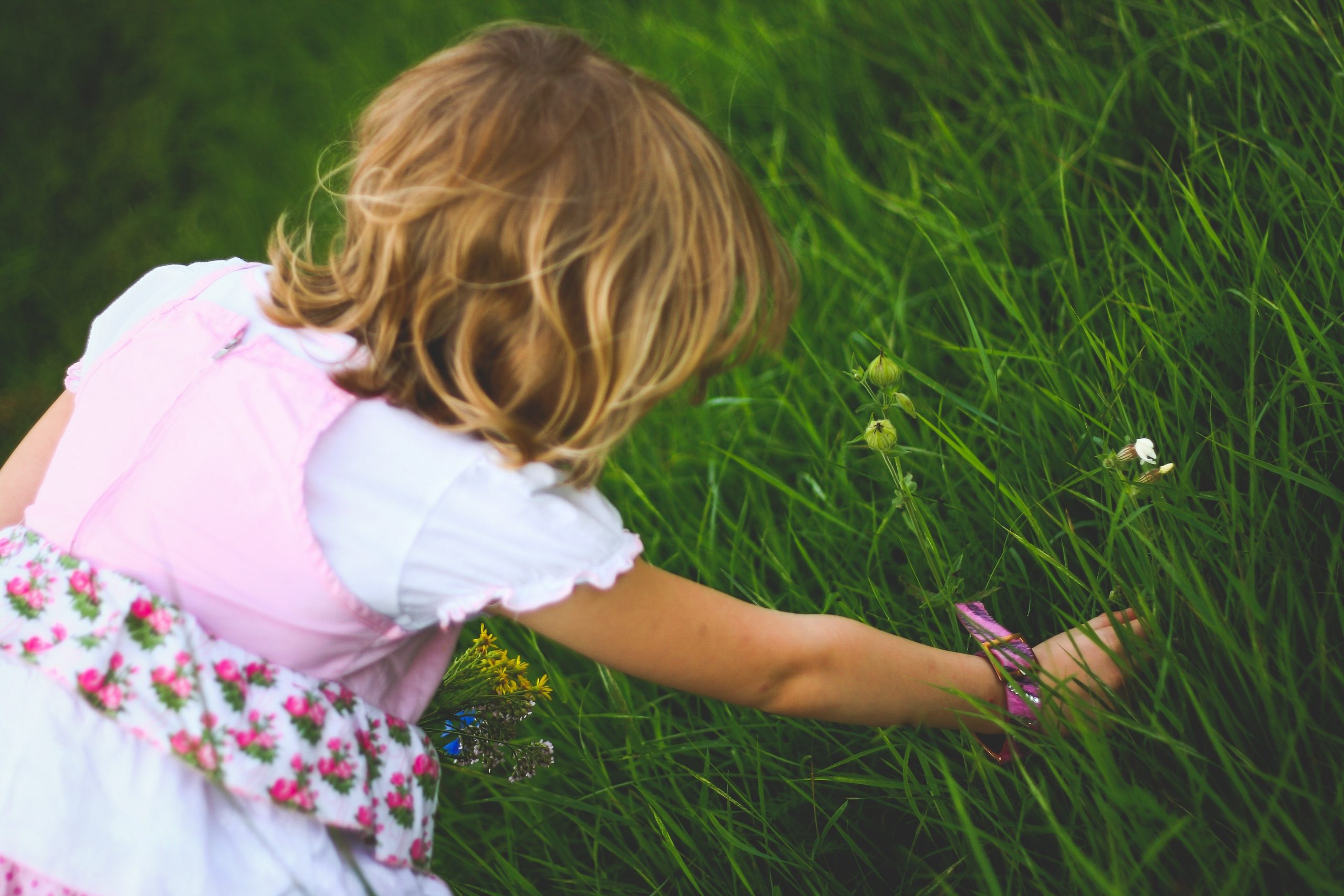 little girl picking flower