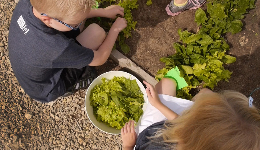 kids watering planter Lake Harriet