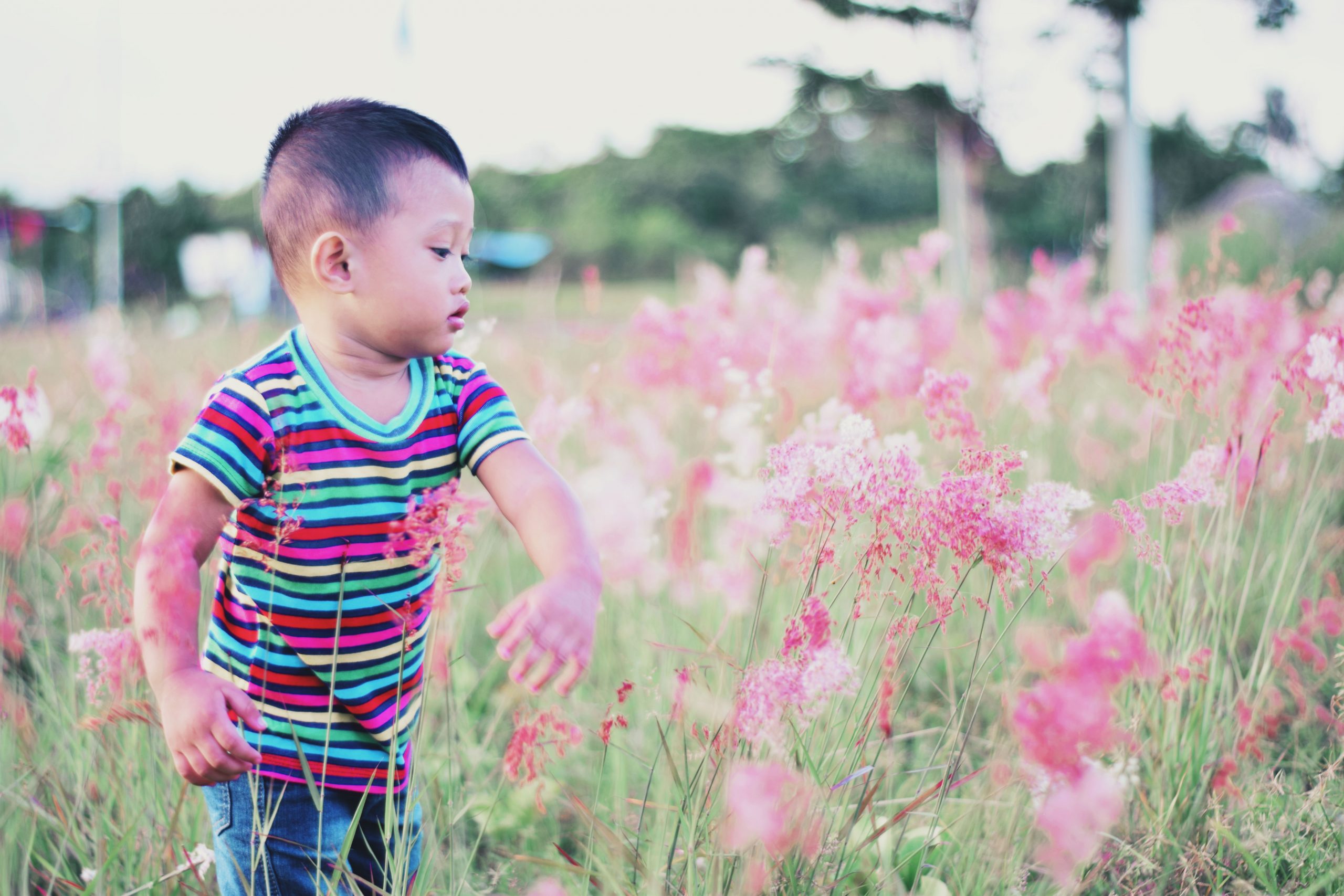 Little boy swatting flowers